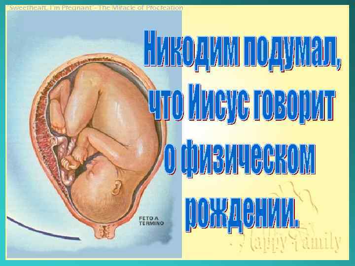 “Sweetheart, I’m Pregnant”- The Miracle of Procreation 