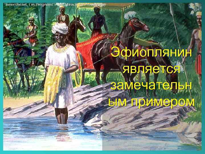 “Sweetheart, I’m Pregnant”- The Miracle of Procreation Эфиоплянин является замечательн ым примером 