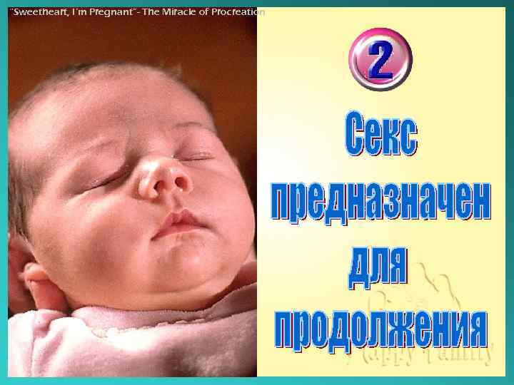 “Sweetheart, I’m Pregnant”- The Miracle of Procreation 