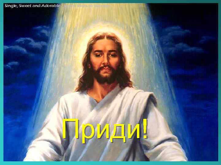 Single, Sweet and Adorable. Seven Steps to Success. Приди! 