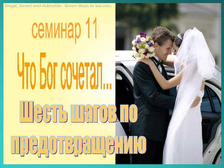 Single, Sweet and Adorable. Seven Steps to Success. 