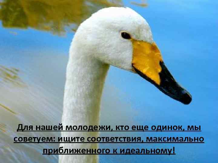 Для нашей молодежи, кто еще одинок, мы советуем: ищите соответствия, максимально приближенного к идеальному!