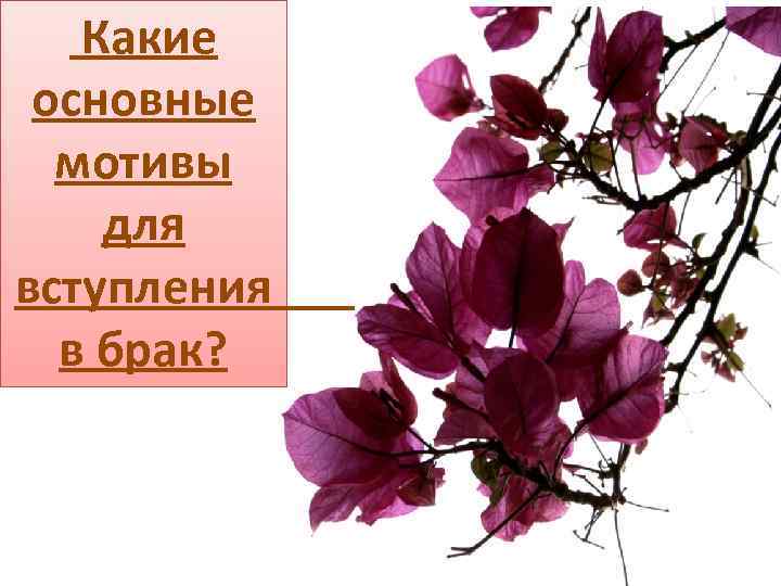 Какие основные мотивы для вступления в брак? 