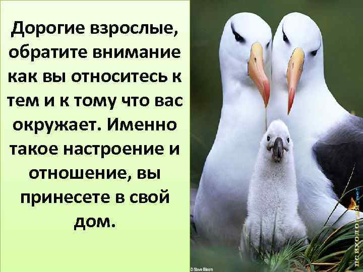 Дорогие взрослые, обратите внимание как вы относитесь к тем и к тому что вас