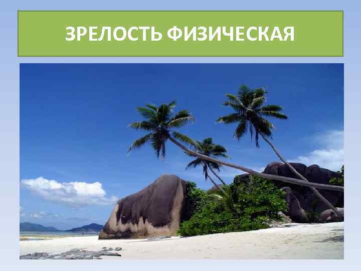 ЗРЕЛОСТЬ ФИЗИЧЕСКАЯ 