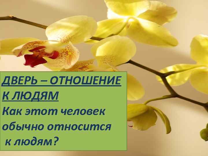 ДВЕРЬ – ОТНОШЕНИЕ К ЛЮДЯМ Как этот человек обычно относится к людям? 