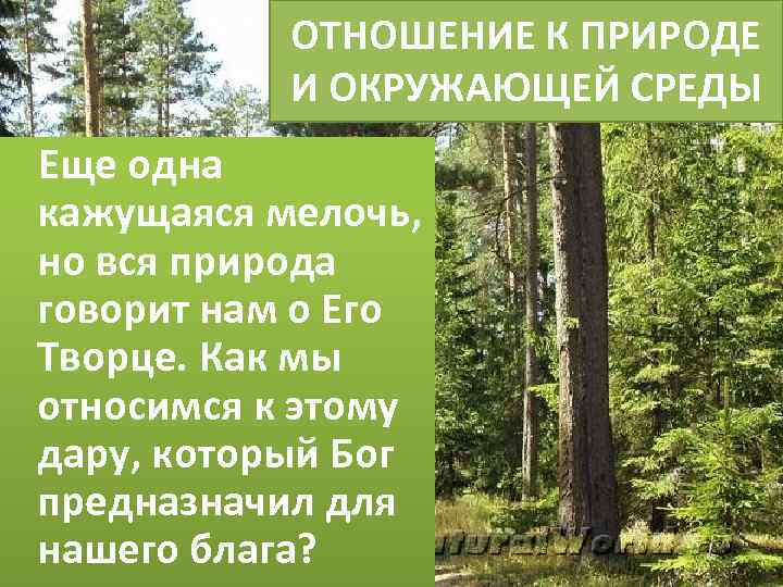 ОТНОШЕНИЕ К ПРИРОДЕ И ОКРУЖАЮЩЕЙ СРЕДЫ Еще одна кажущаяся мелочь, но вся природа говорит
