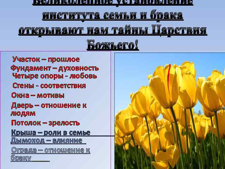 Великолепное установление института семьи и брака открывают нам тайны Царствия Божьего! Участок – прошлое