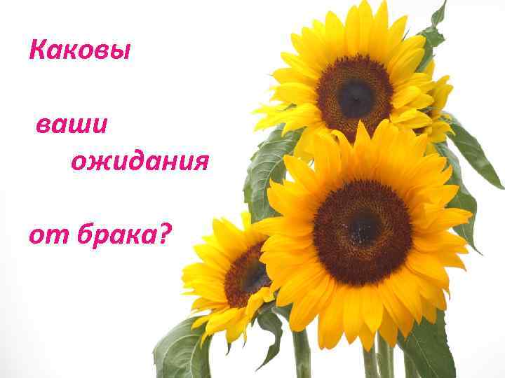 Каковы ваши ожидания от брака? 