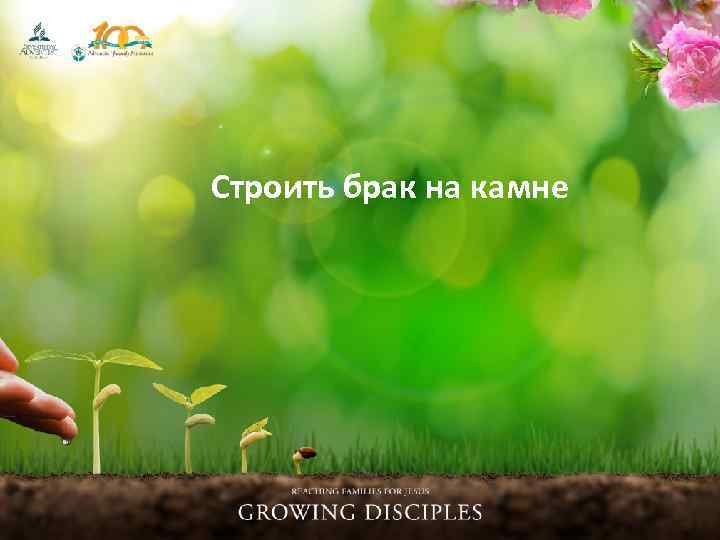 Строить брак на камне 