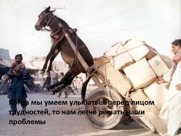 Когда мы умеем улыбаться перед лицом трудностей, то нам легче решать наши проблемы 