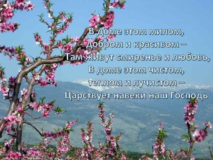 В доме этом милом, добром и красивом – Там живут смиренье и любовь, В