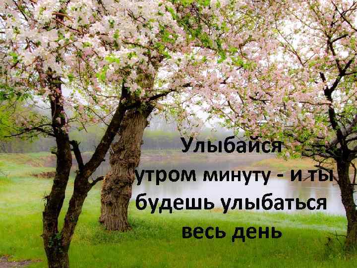 Улыбайся утром минуту - и ты будешь улыбаться весь день 