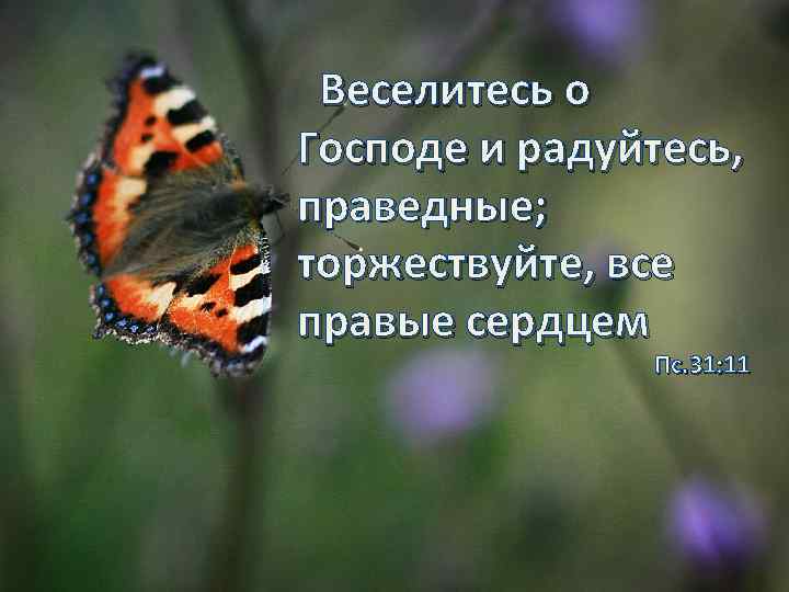 Веселитесь о Господе и радуйтесь, праведные; торжествуйте, все правые сердцем Пс. 31: 11