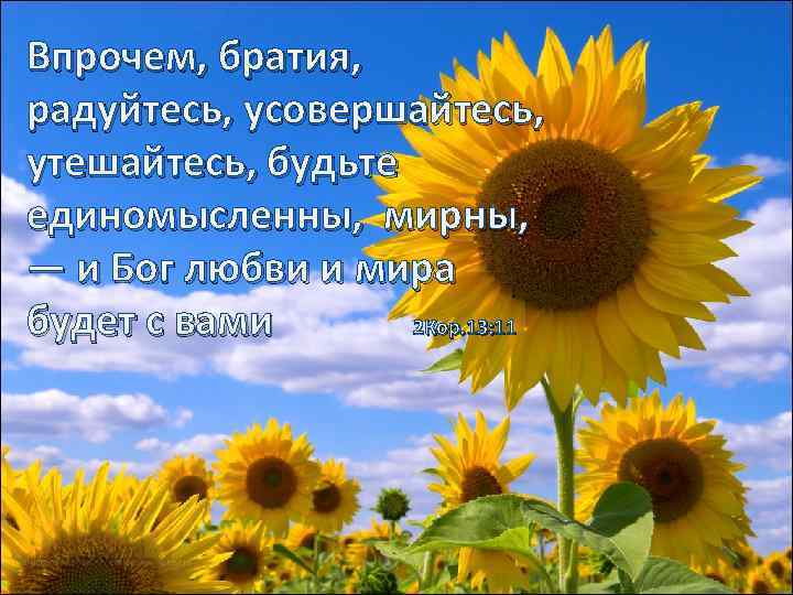 Впрочем, братия, радуйтесь, усовершайтесь, утешайтесь, будьте единомысленны, мирны, — и Бог любви и мира