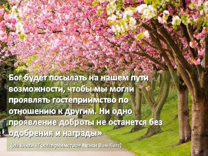 Бог будет посылать на нашем пути возможности, чтобы мы могли проявлять гостеприимство по отношению