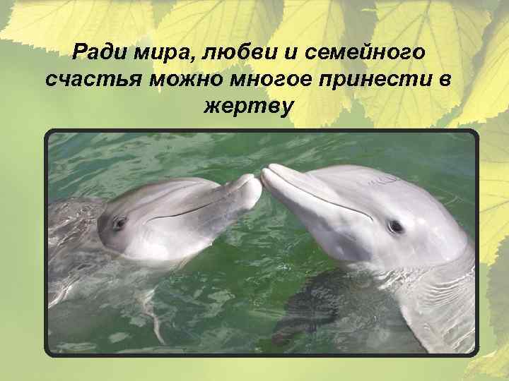 Ради мира, любви и семейного счастья можно многое принести в жертву 