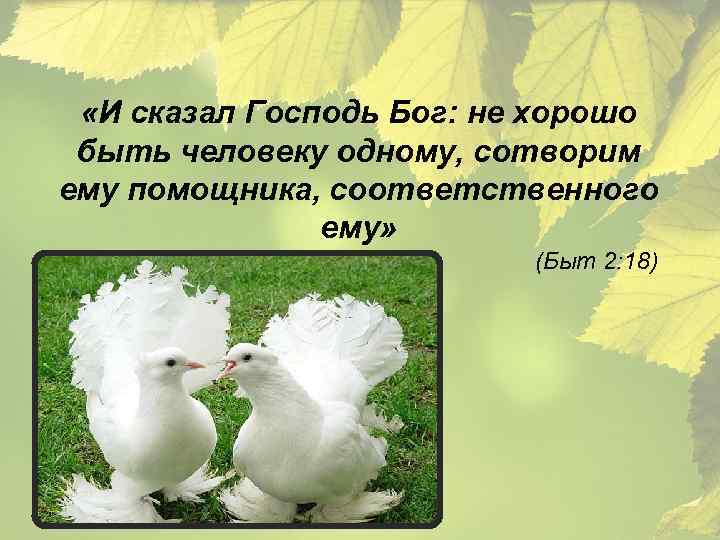  «И сказал Господь Бог: не хорошо быть человеку одному, сотворим ему помощника, соответственного
