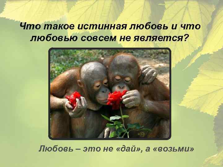 Что такое истинная любовь и что любовью совсем не является? Любовь – это не