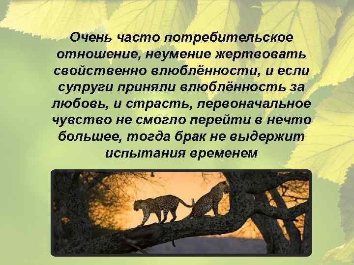 Очень часто потребительское отношение, неумение жертвовать свойственно влюблённости, и если супруги приняли влюблённость за