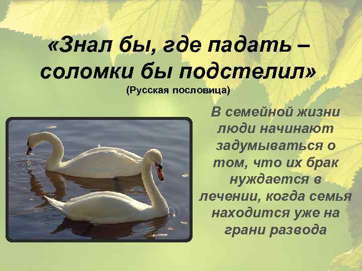  «Знал бы, где падать – соломки бы подстелил» (Русская пословица) В семейной жизни