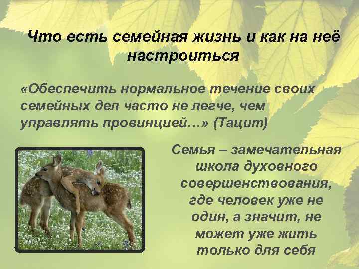 Что есть семейная жизнь и как на неё настроиться «Обеспечить нормальное течение своих семейных