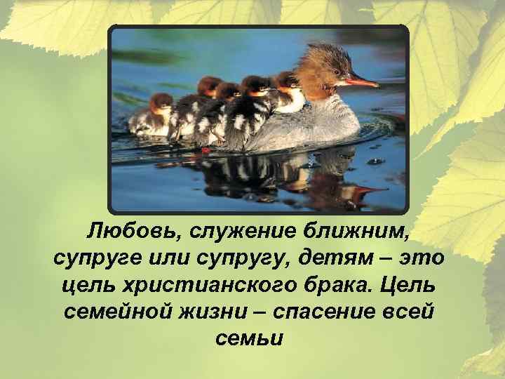 Любовь, служение ближним, супруге или супругу, детям – это цель христианского брака. Цель семейной