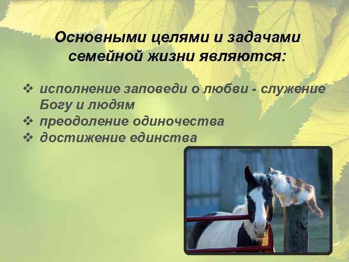 Основными целями и задачами семейной жизни являются: v исполнение заповеди о любви - служение