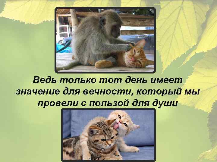 Ведь только тот день имеет значение для вечности, который мы провели с пользой для
