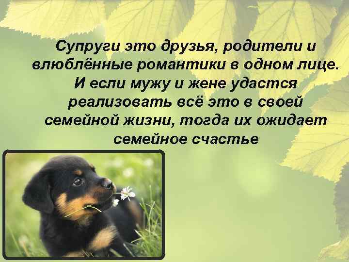 Супруги это друзья, родители и влюблённые романтики в одном лице. И если мужу и