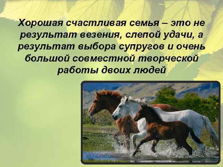 Хорошая счастливая семья – это не результат везения, слепой удачи, а результат выбора супругов