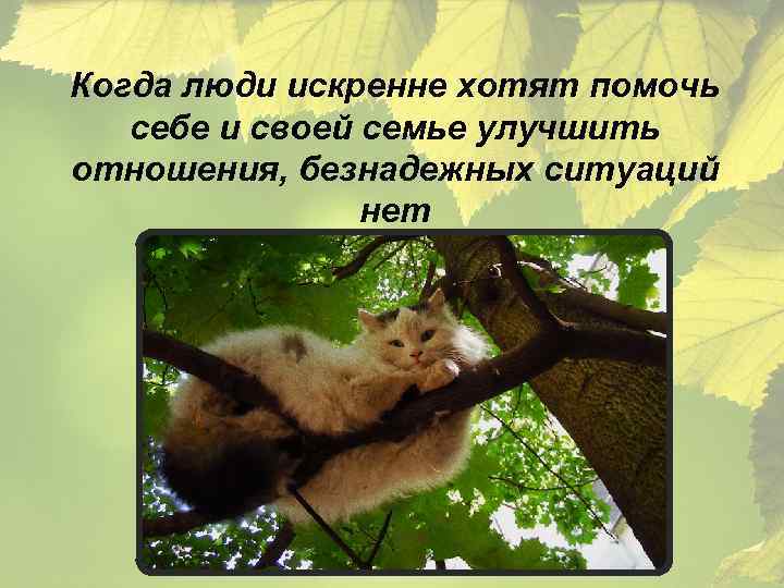 Когда люди искренне хотят помочь себе и своей семье улучшить отношения, безнадежных ситуаций нет