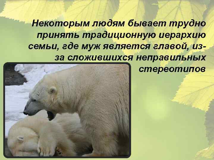 Некоторым людям бывает трудно принять традиционную иерархию семьи, где муж является главой, изза сложившихся