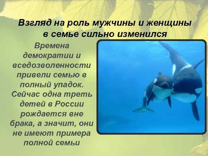 Взгляд на роль мужчины и женщины в семье сильно изменился Времена демократии и вседозволенности