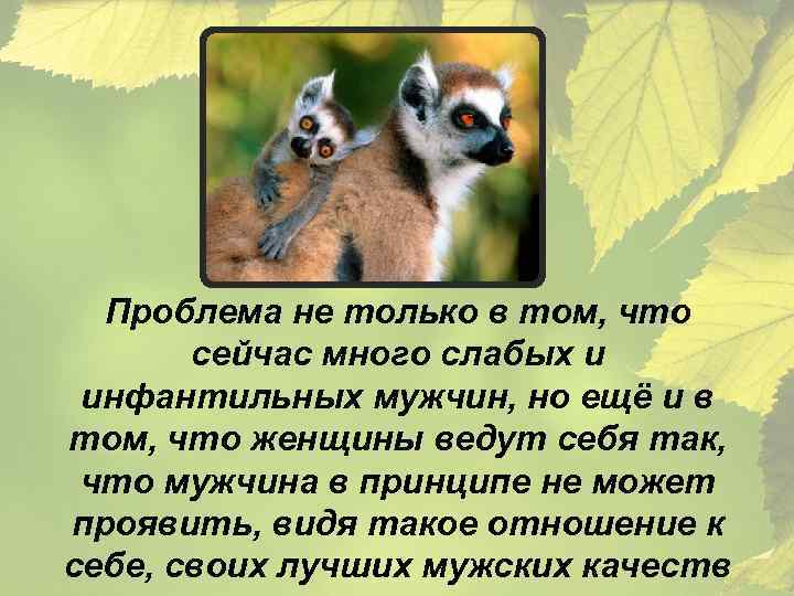 Проблема не только в том, что сейчас много слабых и инфантильных мужчин, но ещё
