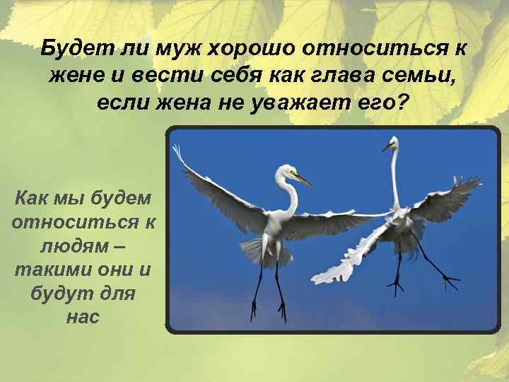 Будет ли муж хорошо относиться к жене и вести себя как глава семьи, если