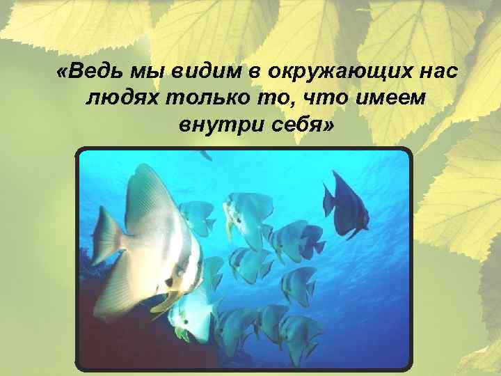  «Ведь мы видим в окружающих нас людях только то, что имеем внутри себя»