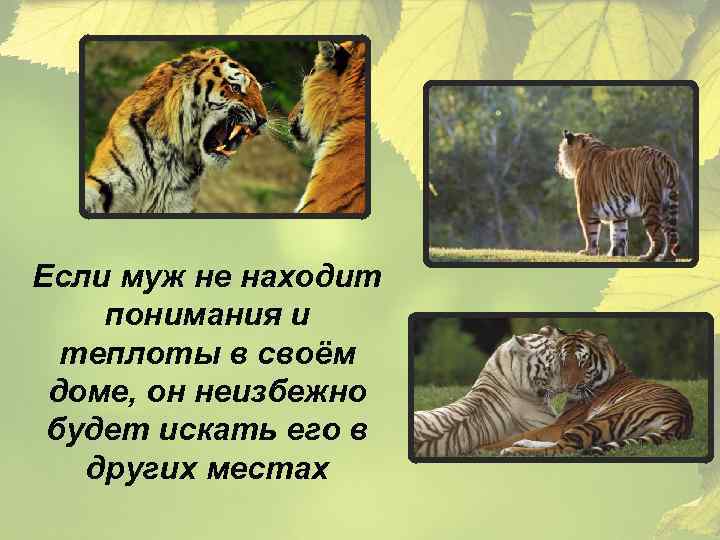 Если муж не находит понимания и теплоты в своём доме, он неизбежно будет искать