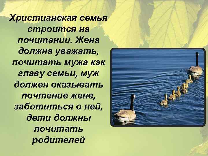 Христианская семья строится на почитании. Жена должна уважать, почитать мужа как главу семьи, муж