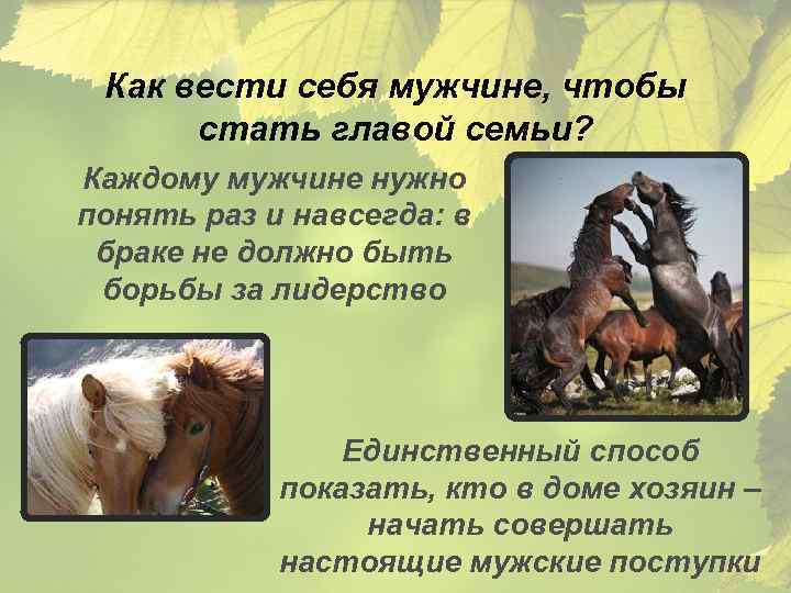Как вести себя мужчине, чтобы стать главой семьи? Каждому мужчине нужно понять раз и