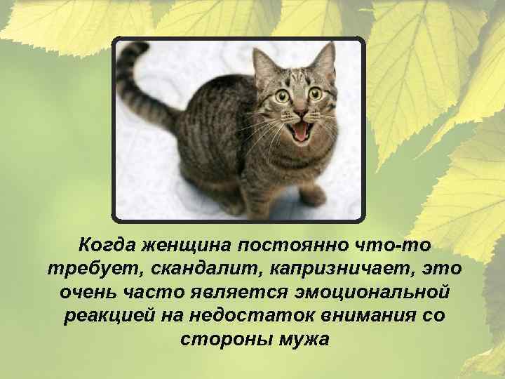 Когда женщина постоянно что-то требует, скандалит, капризничает, это очень часто является эмоциональной реакцией на