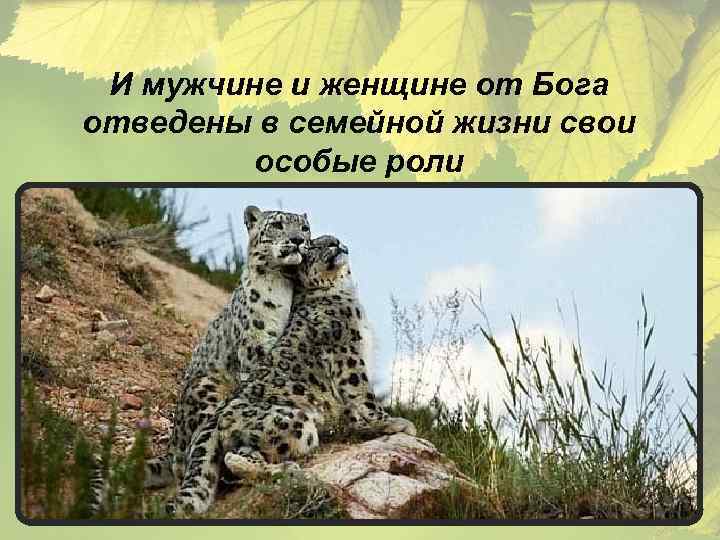 И мужчине и женщине от Бога отведены в семейной жизни свои особые роли 