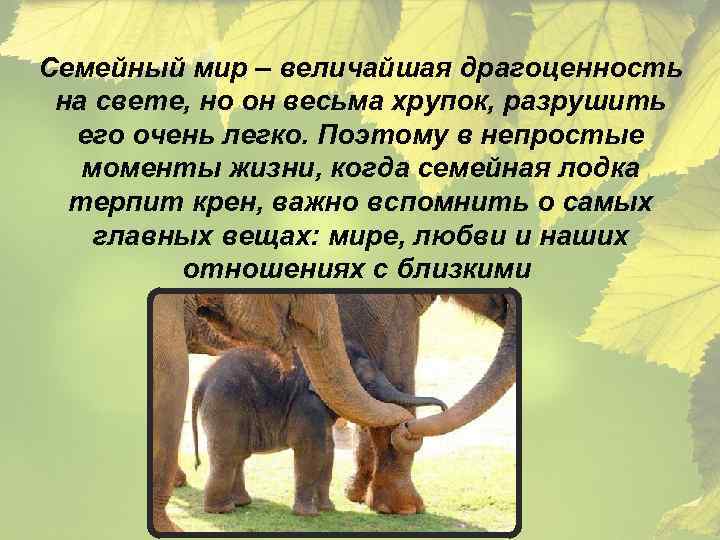 Семейный мир – величайшая драгоценность на свете, но он весьма хрупок, разрушить его очень