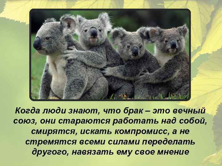 Когда люди знают, что брак – это вечный союз, они стараются работать над собой,