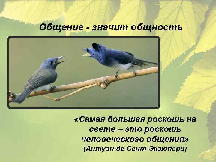 Общение - значит общность «Самая большая роскошь на свете – это роскошь человеческого общения»