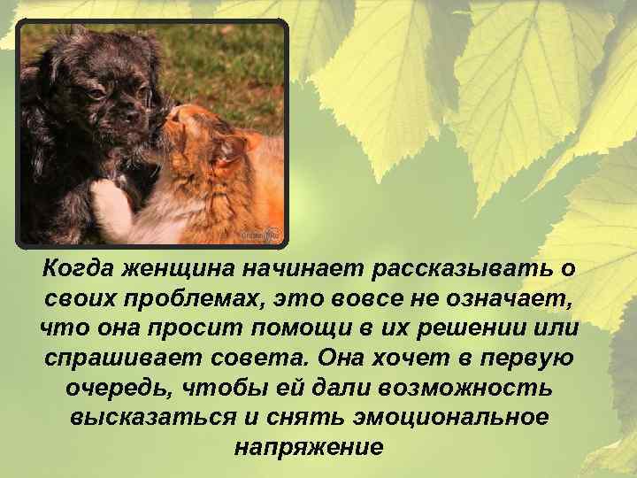 Когда женщина начинает рассказывать о своих проблемах, это вовсе не означает, что она просит