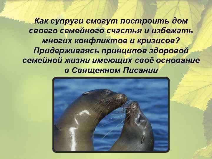 Как супруги смогут построить дом своего семейного счастья и избежать многих конфликтов и кризисов?