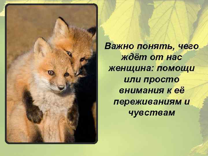 Важно понять, чего ждёт от нас женщина: помощи или просто внимания к её переживаниям
