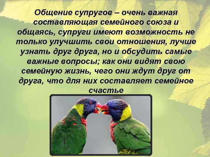 Общение супругов – очень важная составляющая семейного союза и общаясь, супруги имеют возможность не
