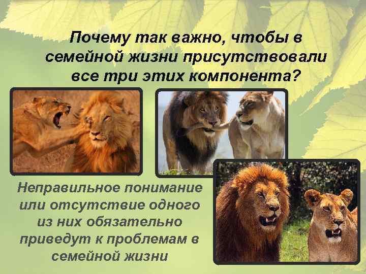Почему так важно, чтобы в семейной жизни присутствовали все три этих компонента? Неправильное понимание